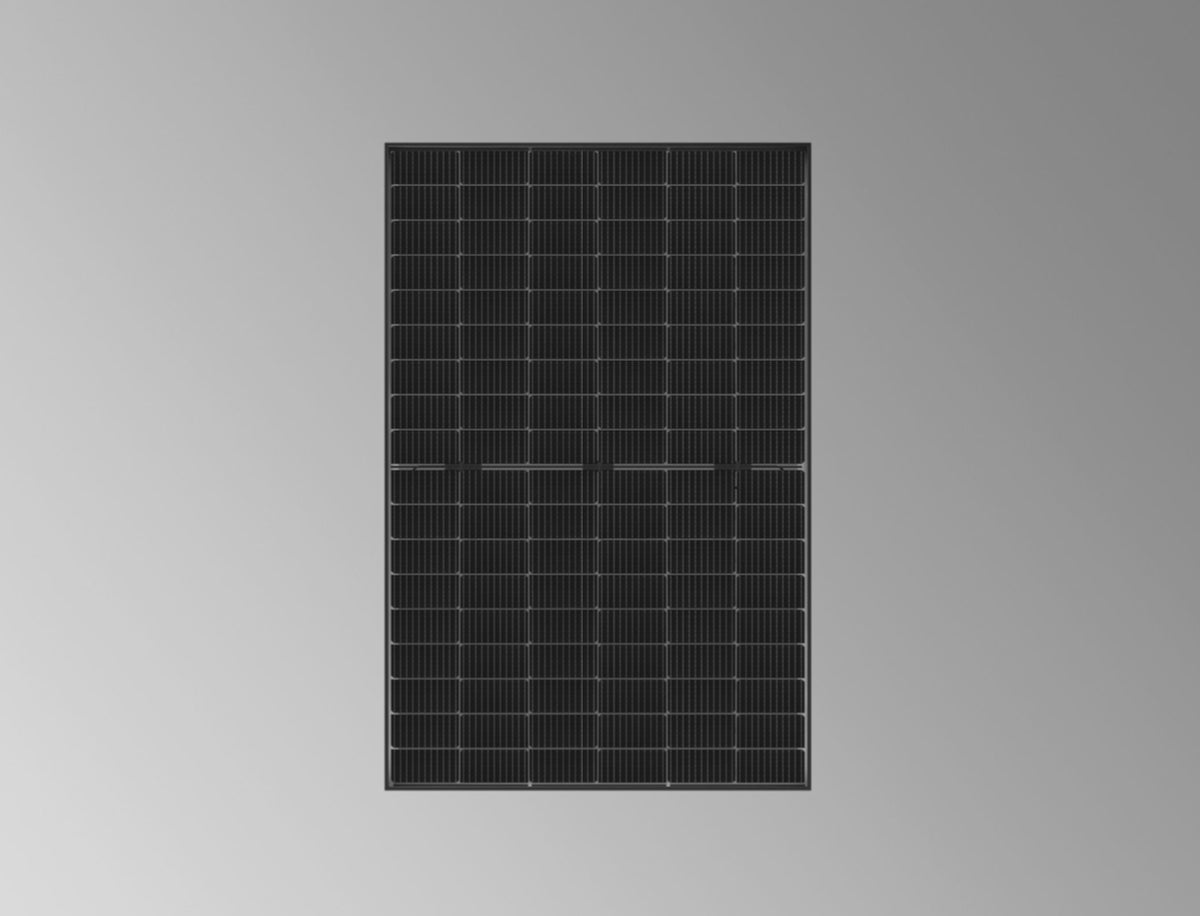 Viessmann VITOVOLT 300-DG